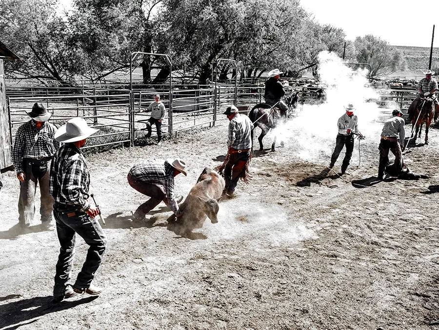 Ranch Life Gallery Image